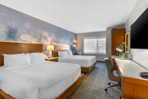 埃尔塞贡多Cambria Hotel LAX的酒店客房配有两张床和一张书桌