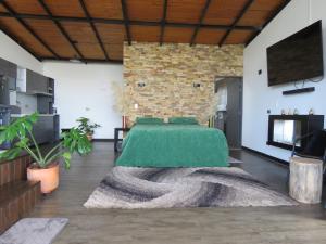 瓜塔佩San Simon Glamping,El peñol,Guatape的一间房间,床上有绿毯