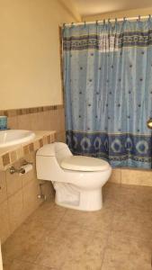 克萨尔特南戈Casa en condominio的浴室设有卫生间和蓝色的浴帘。