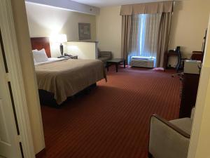 萨默塞特Quality Inn & Suites的酒店客房设有床和窗户。
