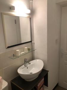 马诺斯克弗朗索瓦1厄酒店的一间带水槽和镜子的浴室