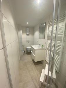 博恩海姆Scheunentraum Brenig的白色的浴室设有卫生间和水槽。