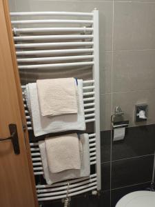 Petrovice u Karviné达克尔酒店的浴室内毛巾架和白色毛巾