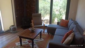 乌尔拉Semiramis Urla Guesthouse的带沙发和咖啡桌的客厅