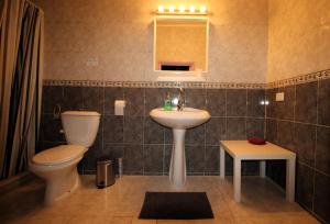 瓦迪穆萨Petra Bed & Breakfast的一间带水槽、卫生间和镜子的浴室