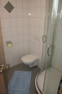 沃尔夫斯堡Gasthof-Pension Ölberger的一间带卫生间和淋浴的小浴室