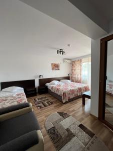 图尔恰Vila Alex&Razvan的酒店客房,设有两张床和一张沙发