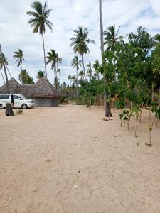 姆特瓦拉AFLII Beach Club ( Zanzibar Beach )的棕榈树海滩和停车场