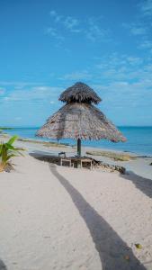 姆特瓦拉AFLII Beach Club ( Zanzibar Beach )的沙滩上的大草伞