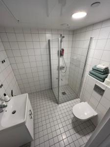 杰西姆Koselig studioleilighet的带淋浴和卫生间的白色瓷砖浴室
