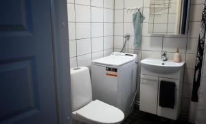 科林基拉Saunallinen kaksio, asunto Kolin Kolo的一间带卫生间和水槽的小浴室