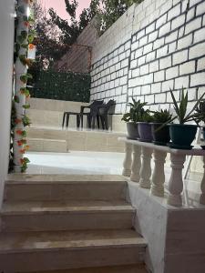乌姆盖斯Beit Al Hasan بيت الحسن的一套楼梯,上面有盆栽植物
