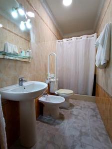 博柳略斯帕尔德尔孔达多埃尔利里奥餐厅及旅舍的一间带水槽和卫生间的浴室