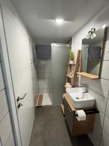 托尔明Azimut Hiša的一间带水槽和淋浴的浴室