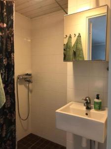 科科拉Ihana asunto Neristanissa的一间带水槽、淋浴和镜子的浴室