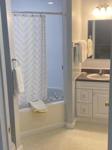 埃尔斯沃思Acadia Village Resort的一间带水槽和淋浴及窗户的浴室