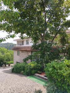 维拉·雷阿尔Quinta da Telheira的前面有一棵树的房子