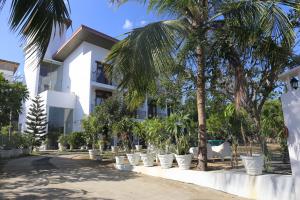 帕西库达Amanda Beach Resort的一座白色的建筑,前面有棕榈树