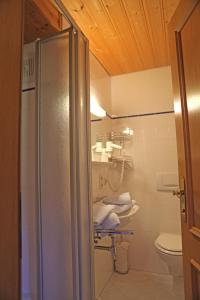 格绍韦林芬尼公寓的带淋浴和卫生间的浴室