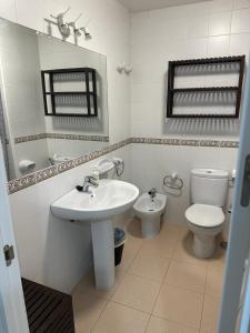 塞维利亚Ameyal Madre Rafols的一间带水槽、卫生间和镜子的浴室