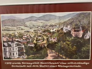 Bad SauerbrunnVilla Reder的山城画
