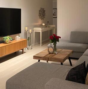 格里姆斯塔Privat hjem i Grimstad - Nær Arendal og Dyreparken的客厅配有沙发和带电视的桌子