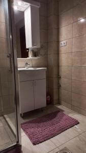 Novi BečejSobe Palasthy的浴室配有盥洗盆和带镜子的淋浴