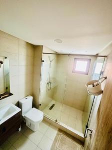西迪拉哈尔Appartement Cozy avec piscine的带淋浴、卫生间和盥洗盆的浴室
