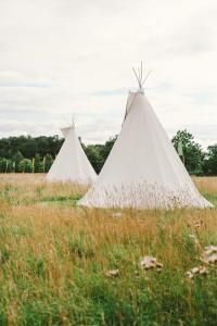 HeydonInfinite Skies Tipi's的田野上的三个白色帐篷