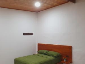 阿约拉港Suite amoblada en Santa Cruz的一间小卧室,配有一张带绿色床单的床