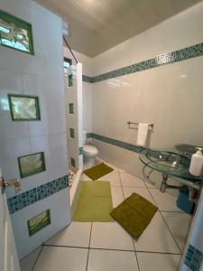 PaeaFare Moehani的一间带卫生间和玻璃水槽的浴室