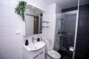 赫尔辛基Flexi Homes Itäkeskus的浴室配有卫生间、盥洗盆和淋浴。