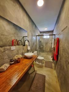 戈亚斯州上帕莱索Morada dos Saguis的一间带水槽、卫生间和淋浴的浴室