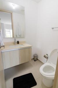 巴兰基亚Habitech soho 55-2的一间带卫生间、水槽和镜子的浴室
