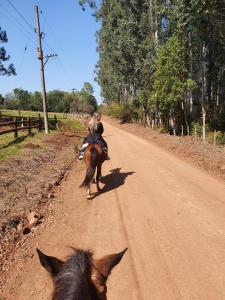 埃尔多拉多Estancia La Paulina!!! 1 hora de las Cataratas!!!的几个人骑着马沿着土路走