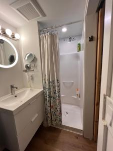 温哥华Neat, compact, private room in a lovely Vancouver neighbourhood的带淋浴和盥洗盆的白色浴室