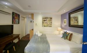 佩里吉安比奇亥努沙男性专用海滩度假酒店的一间卧室配有一张大床和电视