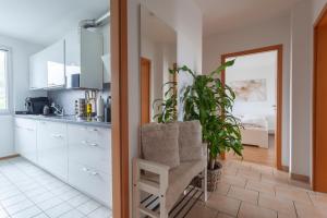 汉诺威Exclusive 2-Room-City-Apartment - Contactless Check-in的一个带椅子和植物的厨房
