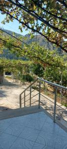 培拉特Green Forest的公园内带有栏杆的滑板坡道
