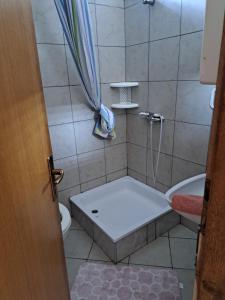 博罗维奇Apartments Sabol Geist的带淋浴、卫生间和盥洗盆的浴室
