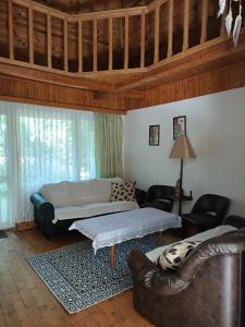 Domek w Gorcach的客厅配有床和沙发