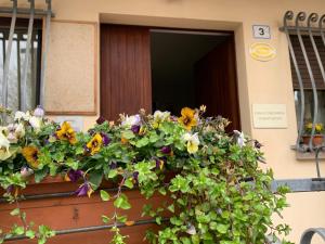 瓦拉爪贡Stabat Mater Casa di Preghiera的建筑物门上的花盒