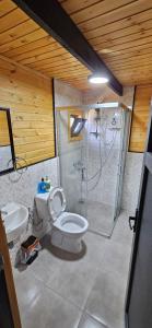 达拉曼Lake house kayacık Resort的带淋浴、卫生间和盥洗盆的浴室