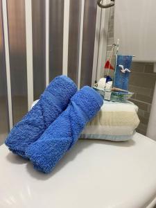 贾迪尼-纳克索斯Casa Vacanza Giardini Naxos Taormina MIRANAXOS的浴室柜台上摆放着一双蓝色毛巾