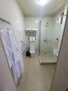 塔什干Chorsu Inn的一间带卫生间、淋浴和毛巾的浴室