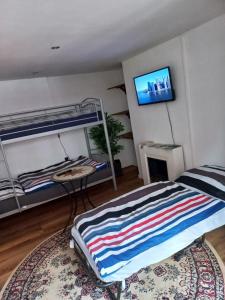 OppachBungalow Hugo的一间卧室配有双层床和一台平面电视。