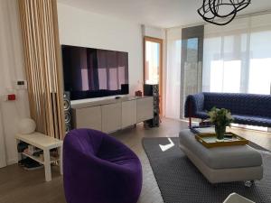 舍维伊拉吕Appartement terrasses proche Orly & Paris的客厅配有紫色沙发和电视