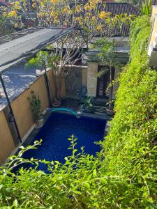 沙努尔PURI KASIH VILLA的花园中的一个游泳池