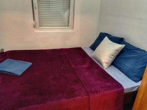 普查尼Sanja apartment的一张带蓝色和白色枕头的床和窗户