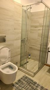 佩尔梅特Wild River Guesthouse的一间带卫生间和玻璃淋浴间的浴室